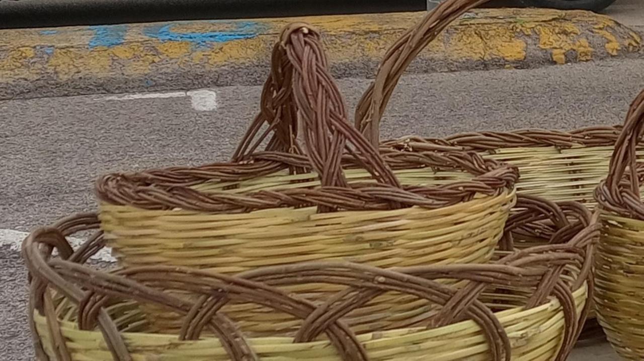 Sa faina funguda de sos coingiolos