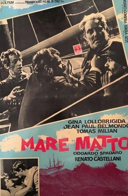 Livorno, città del cinema: «Qui c’è la luce da film» 