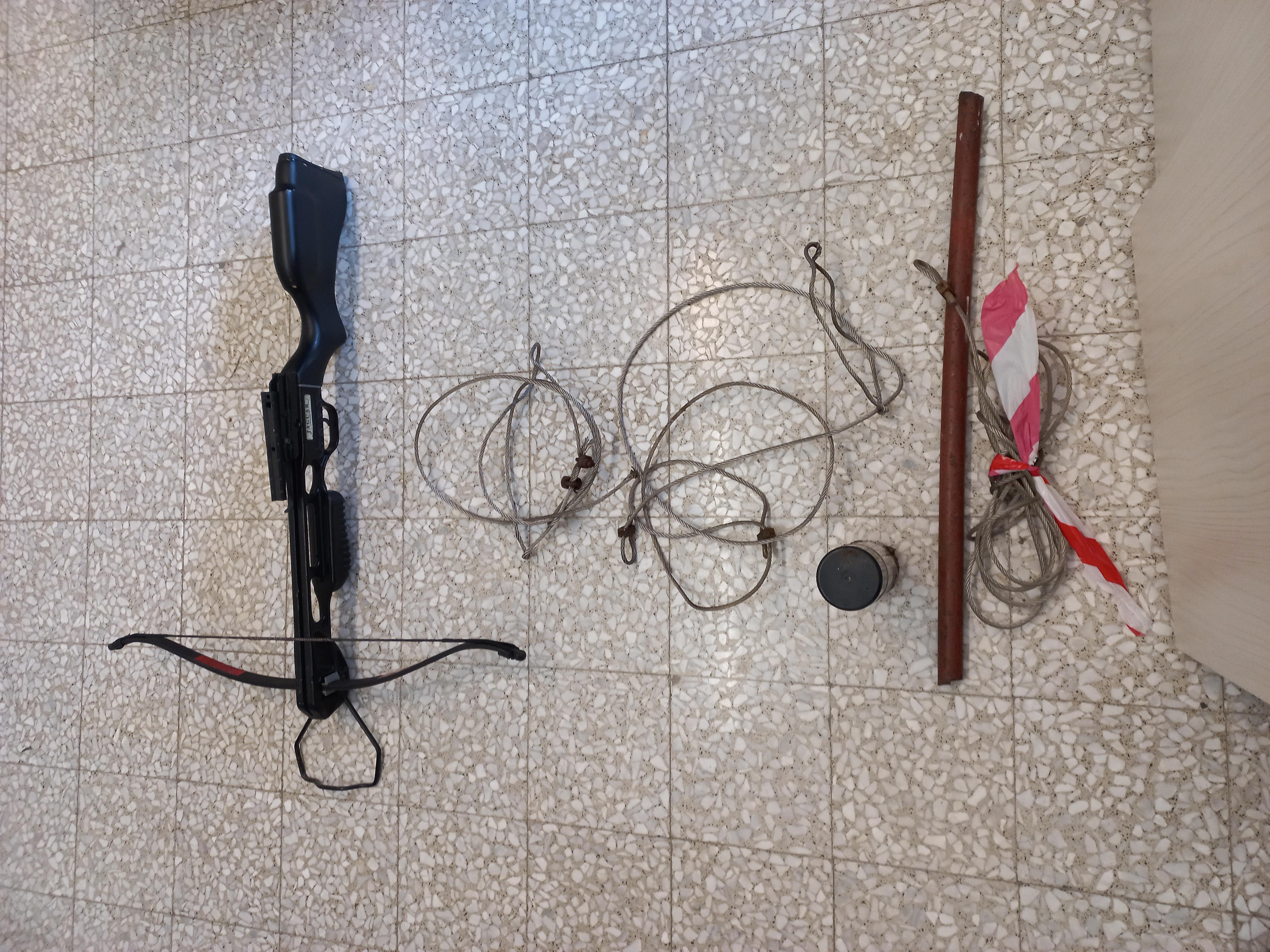 Camaiore, bracconiere intrappolava gli animali e li uccideva con la balestra: ecco com'è stato incastrato 
