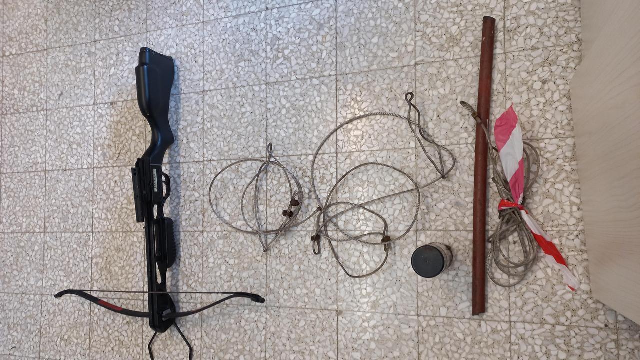 Camaiore, bracconiere intrappolava gli animali e li uccideva con la balestra: ecco com'è stato incastrato