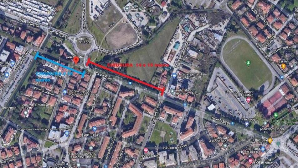 Via di Pratale, rimozione dei pini strada chiusa fino alla rotatoria