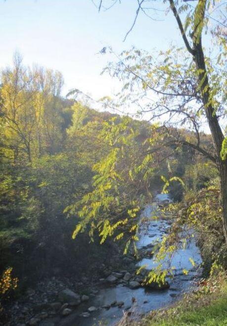 Tour operator alla scoperta delle bellezze locali per promuoverle e farle conoscere