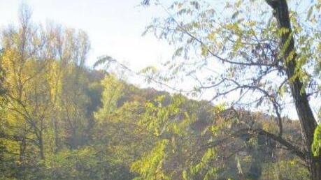 Tour operator alla scoperta delle bellezze locali per promuoverle e farle conoscere