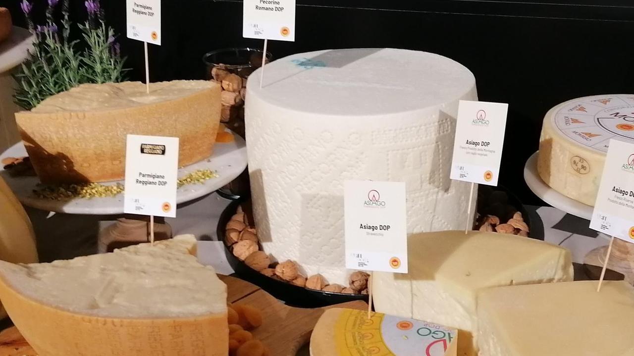 Nutri-Score europeo, Maoddi: «Penalizzazione inaccettabile, difenderemo il nostro formaggio» 
