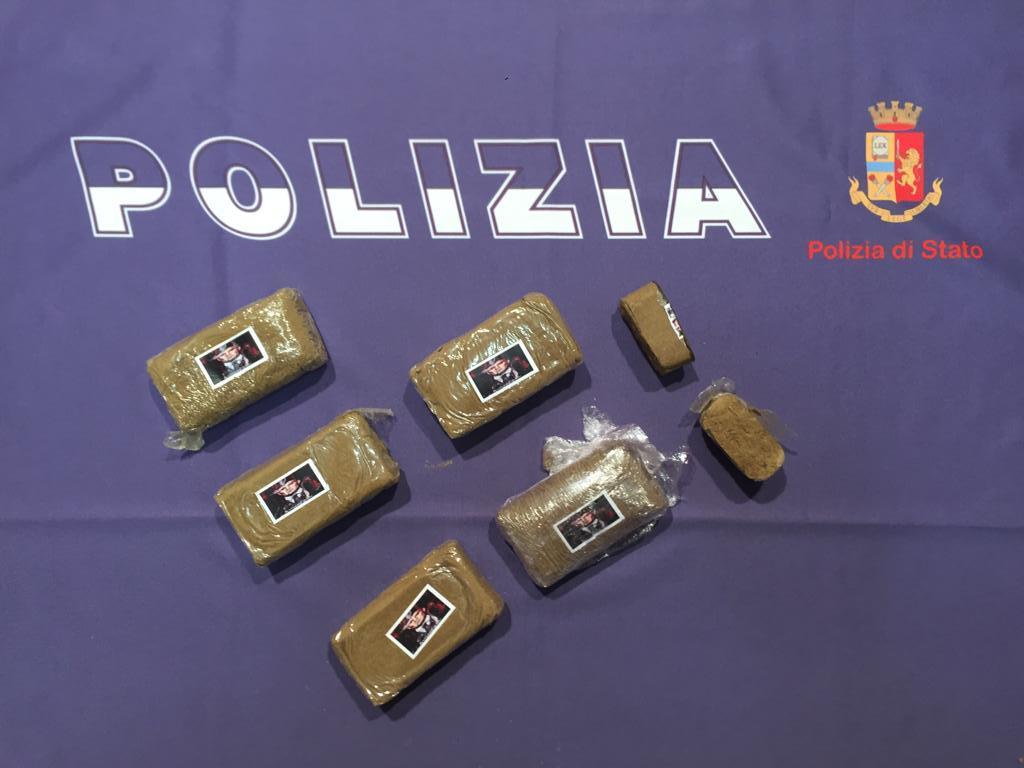 Reggio Emilia: grazie al cane Viktor la polizia trova mezzo chilo di droga in un'aiuola 