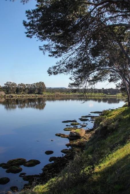 Tutti uniti per risolvere i problemi del Calich