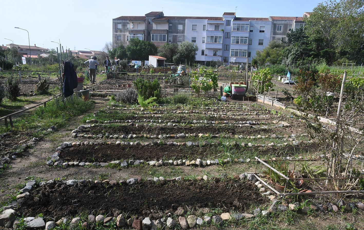 Orti urbani, 38 lotti assegnabili a Torangius 