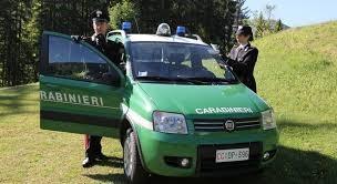 Auto abbandonata, ora deve pagare 1600 euro di multa