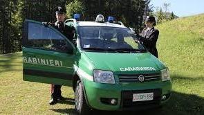 Auto abbandonata, ora deve pagare 1600 euro di multa