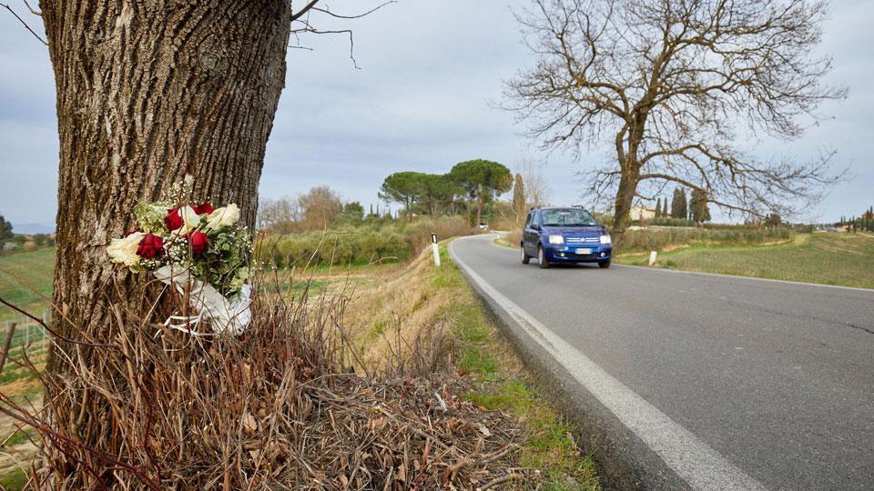 I fiori che sono stati lasciati sul luogo dell’incidente (foto autovino/sestini)