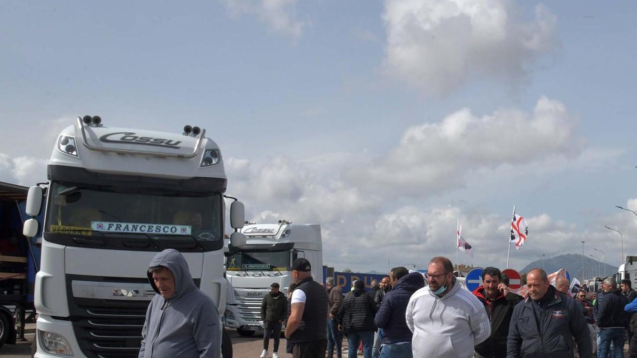 Danni per milioni: nei campi sale la rabbia