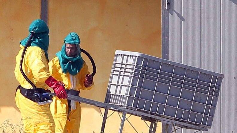 Codigoro, il focolaio di aviaria costa carissimo all’Asl. Oltre mezzo milione per abbattere i tacchini
