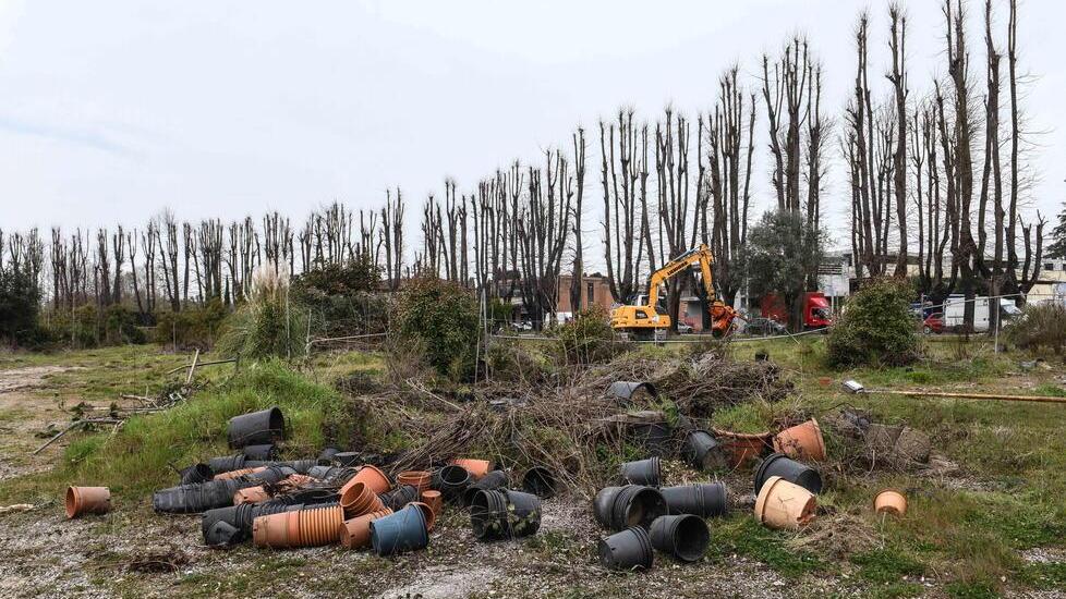 Parte dell’area degli ex vivai ripulita negli ultimi giorni