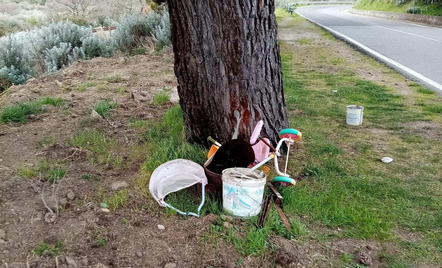 Rifiuti abbandonati ai lati della 129