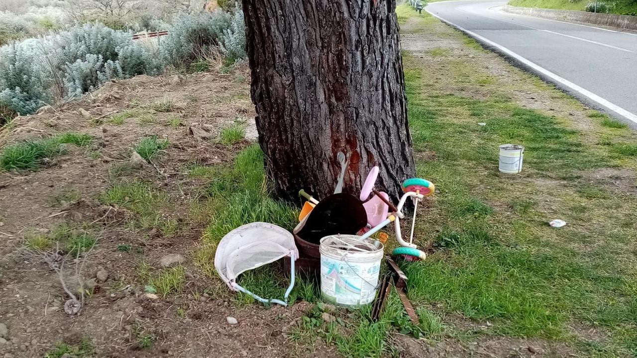 Rifiuti abbandonati ai lati della 129