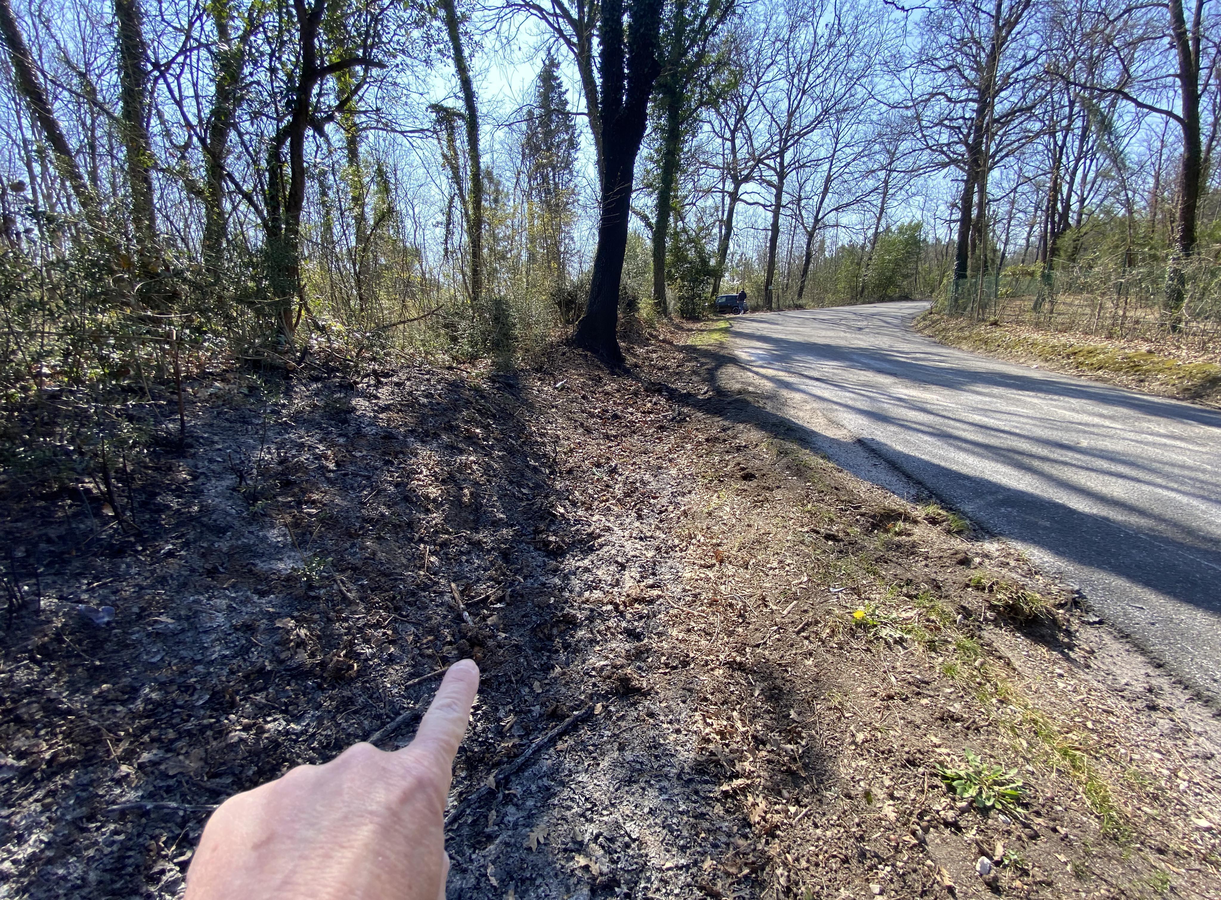 Il punto dell’impatto della Golf contro l’albero