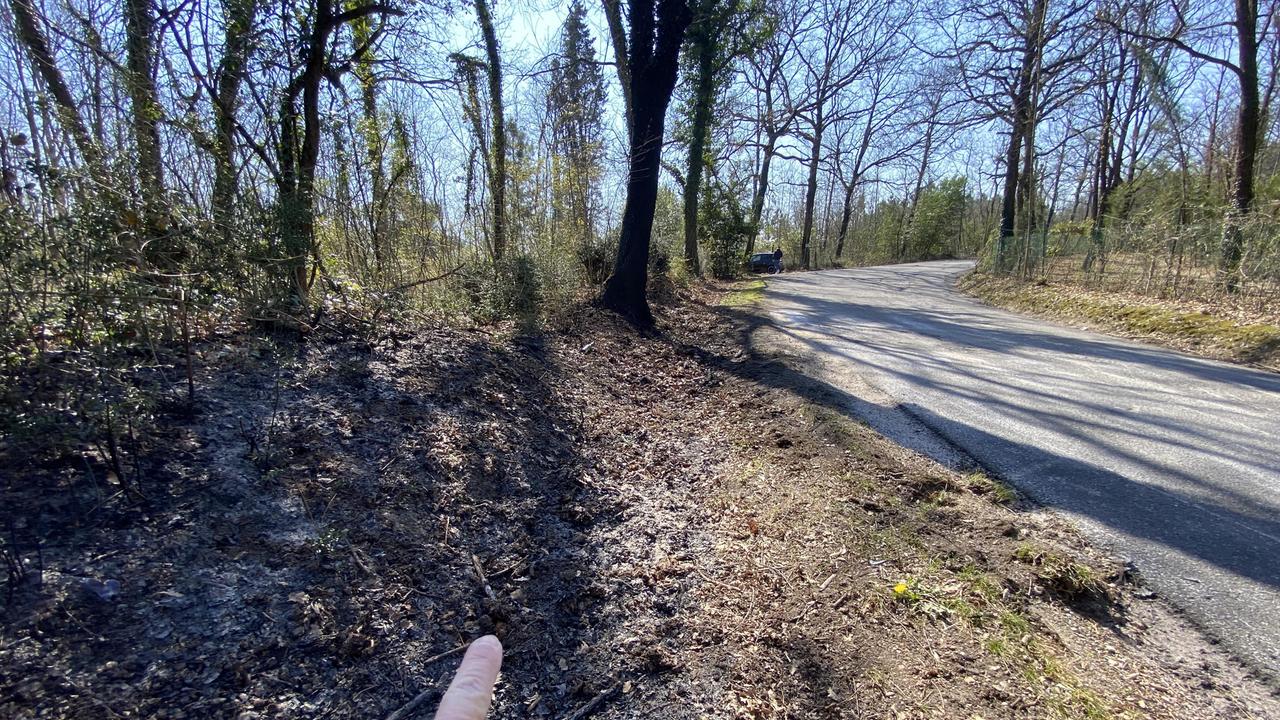 Il punto dell’impatto della Golf contro l’albero