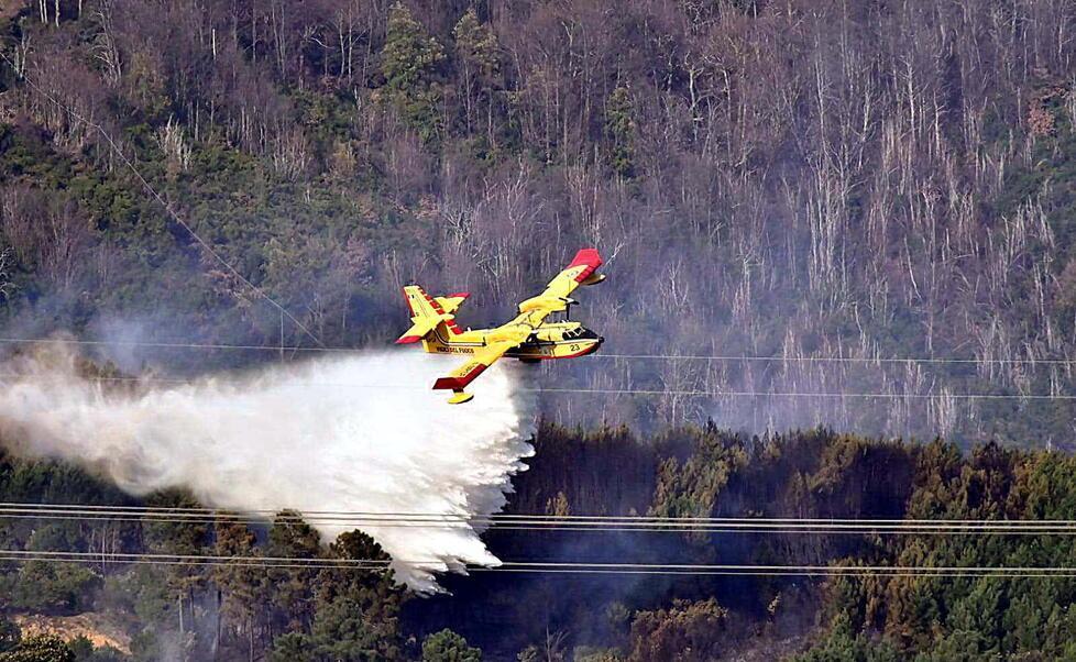Vanno in fiamme castagni e querce, lotta contro il vento per spegnere il rogo 