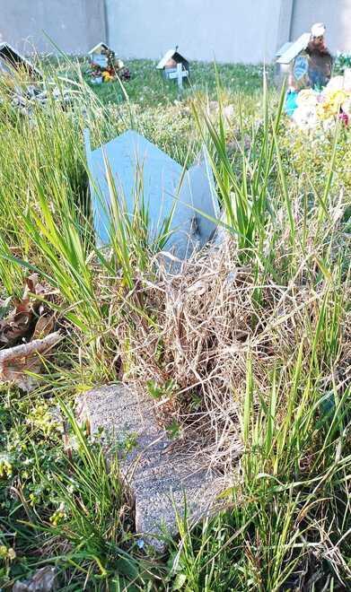 Il campo dei fanciulli di Sassuolo abbandonato tra incuria e degrado