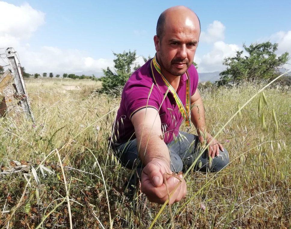 Stop alle cavallette con l’app Tzilipirke 