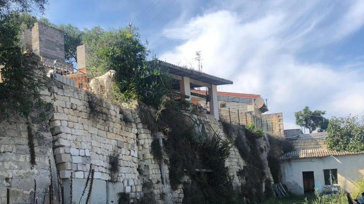 «Johnny? Non lo abbiamo visto»