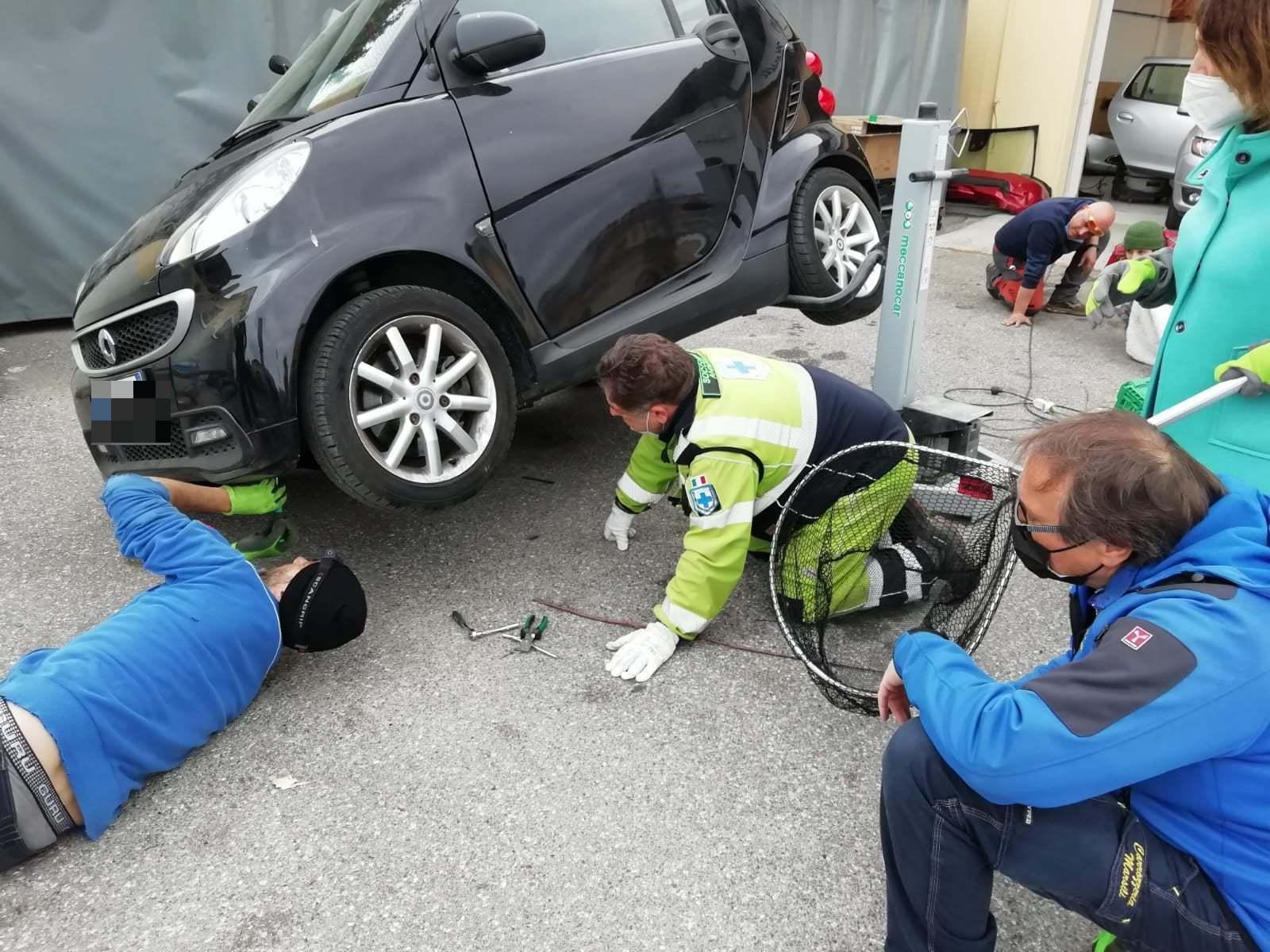 I volontari di Anpana alla carrozzeria Marsili per recuperare il gatto dalla Smart