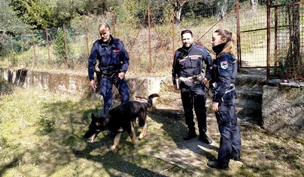 Gli agenti della polizia municipale coi cani anti-droga