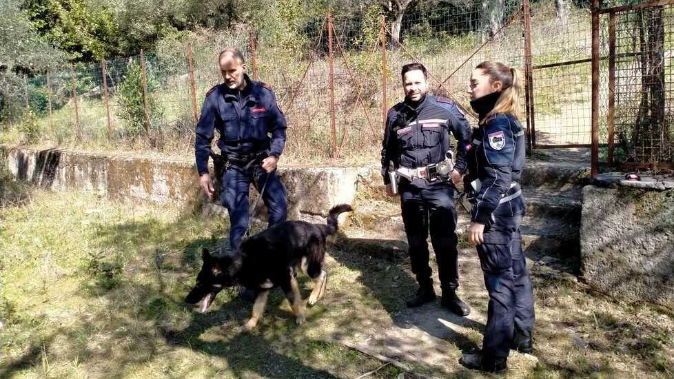 Gli agenti della polizia municipale coi cani anti-droga