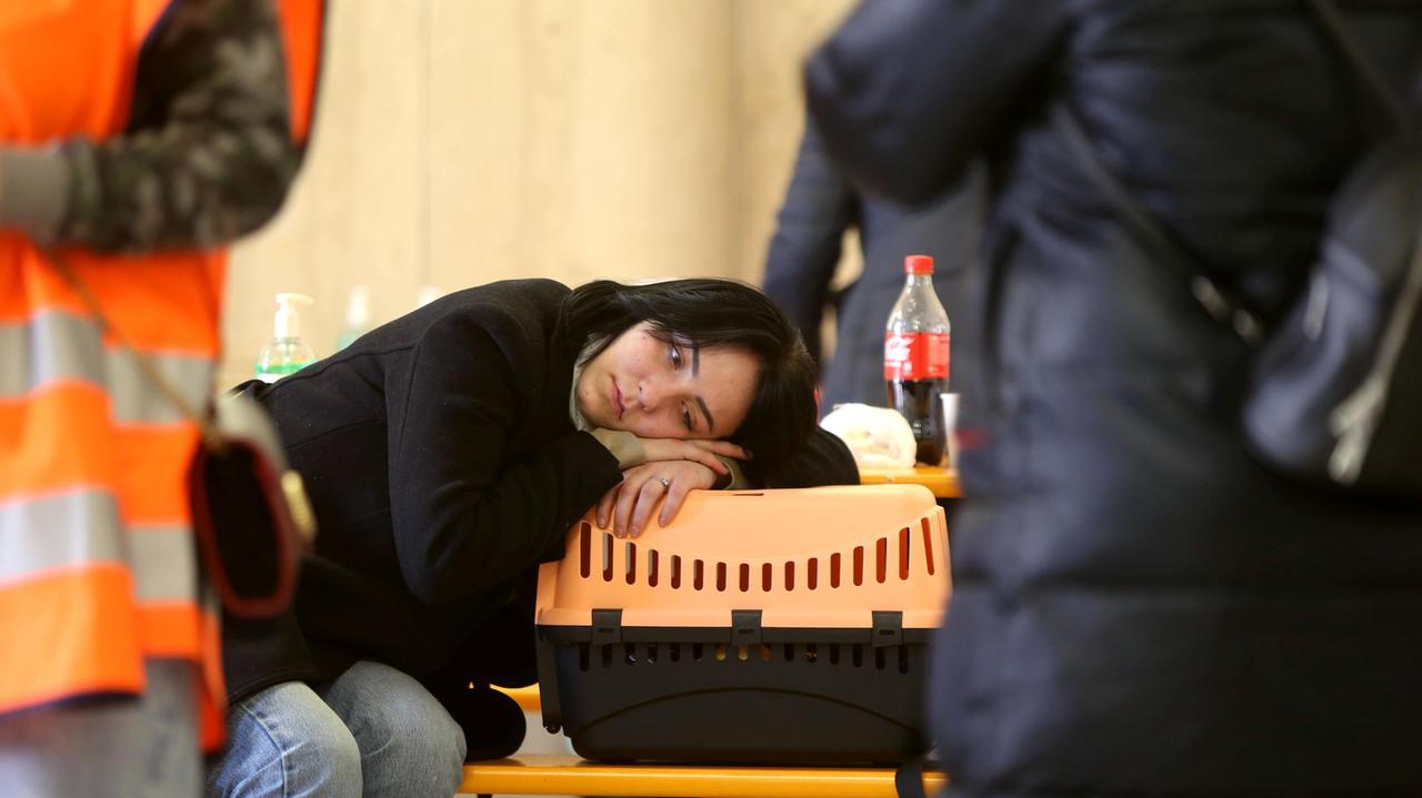 Dall’Ucraina al Modenese: finora arrivati quasi 2.500 profughi