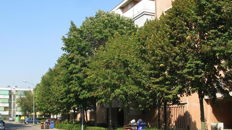 Emergenza casa, anche Carpi soffre Aiuti per gli affitti e tutor per i più deboli