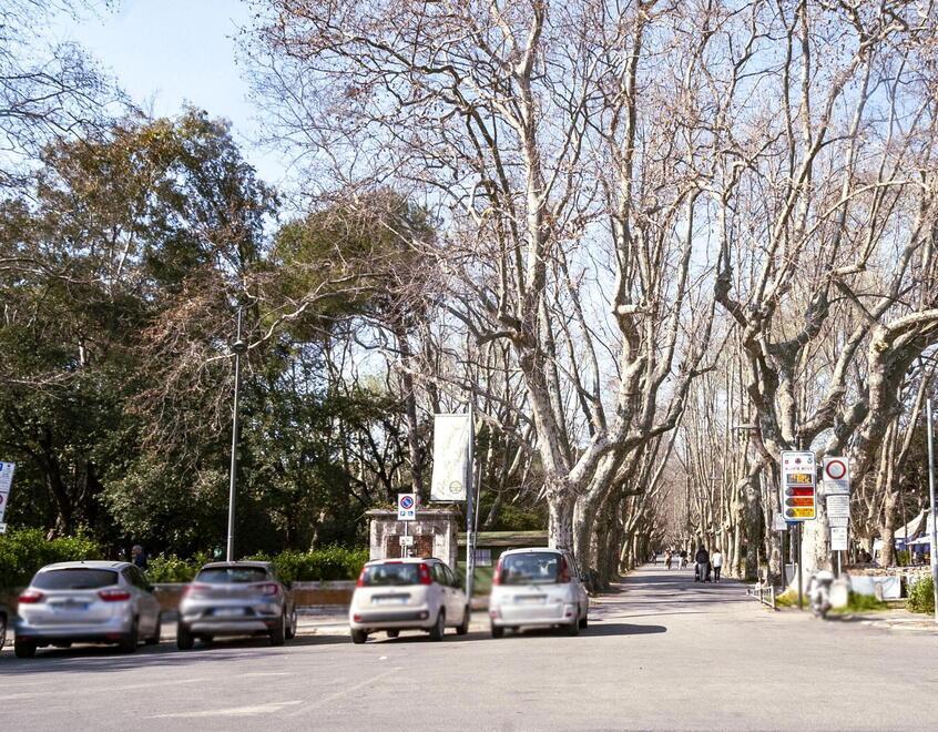 Viareggio, al varco della Pineta di Ponente spariscono asfalto e automobili – Il progetto 