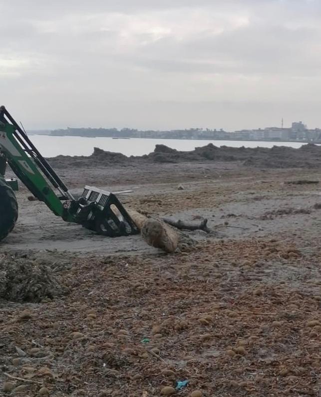 Alghero, dal Comune 825mila euro per la pulizia delle spiagge 