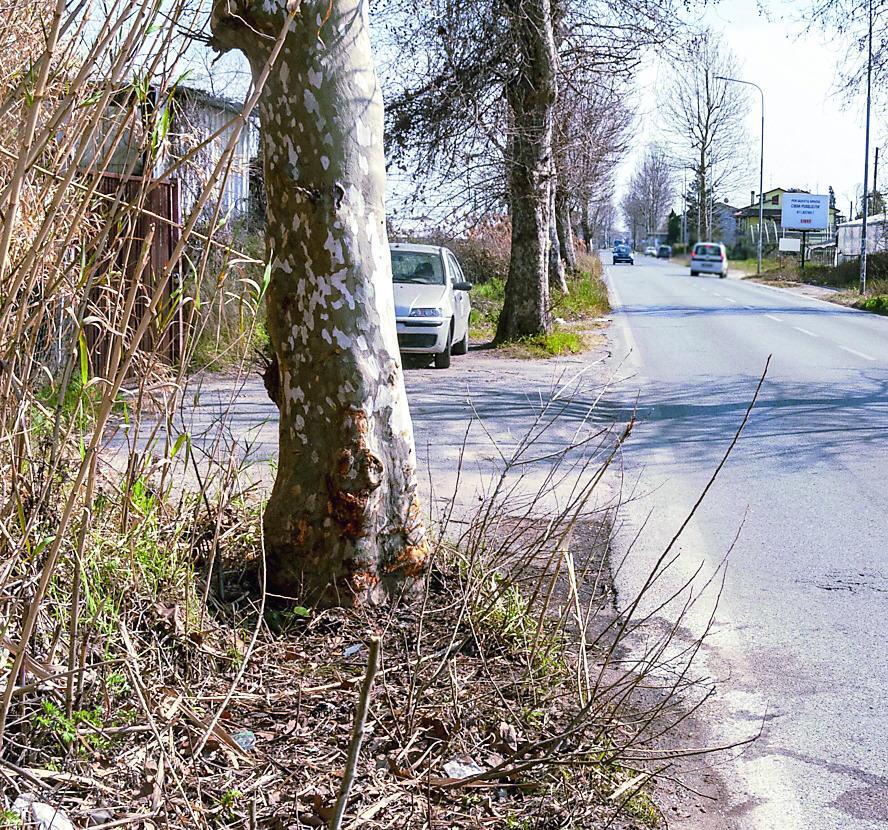 Si schiantano con l’auto contro un albero. Ventenne viareggino salvato tra le lamiere: è in coma 