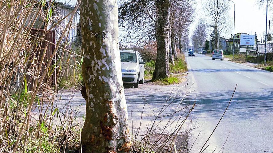 Si schiantano con l’auto contro un albero. Ventenne viareggino salvato tra le lamiere: è in coma