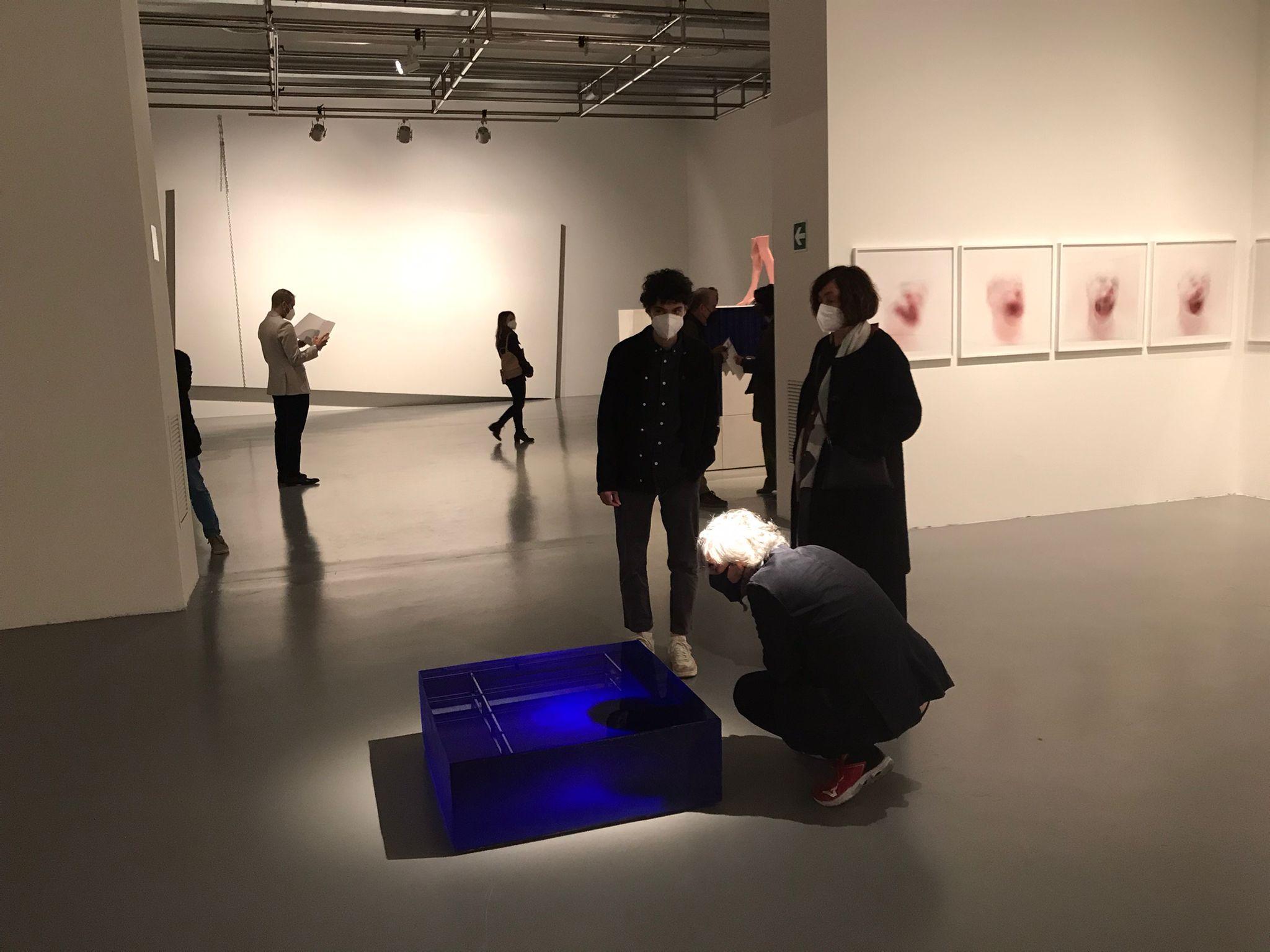 Pecci, ecco la novità: “Il giardino dell’arte” 