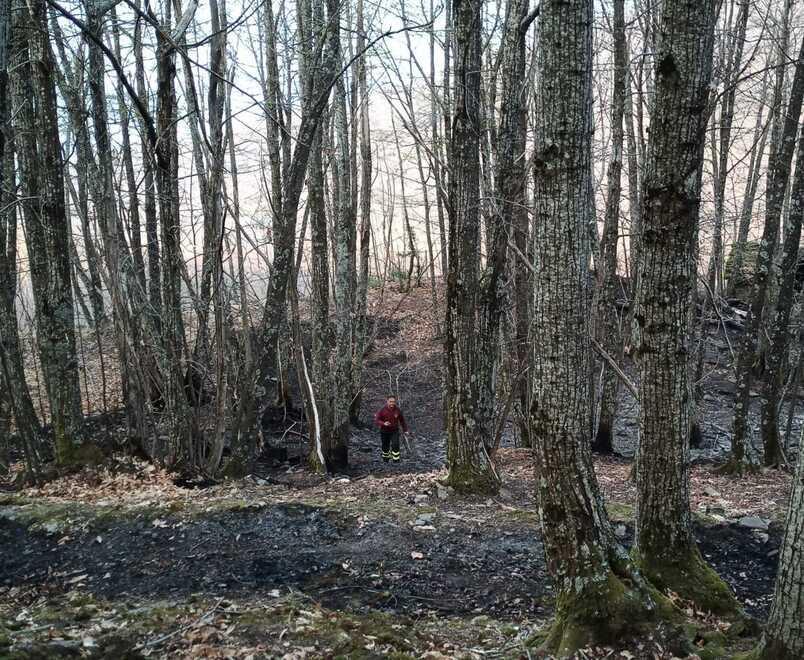 Fanano. Brucia le foglie e incendia il bosco 