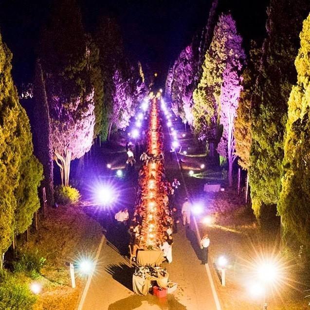 La cena per i 25 anni della Doc Bolgheri sul viale dei Cipressi