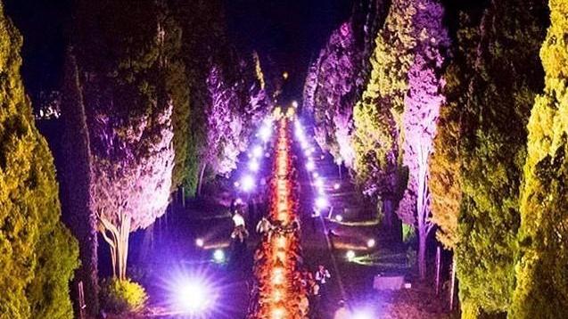 La cena per i 25 anni della Doc Bolgheri sul viale dei Cipressi