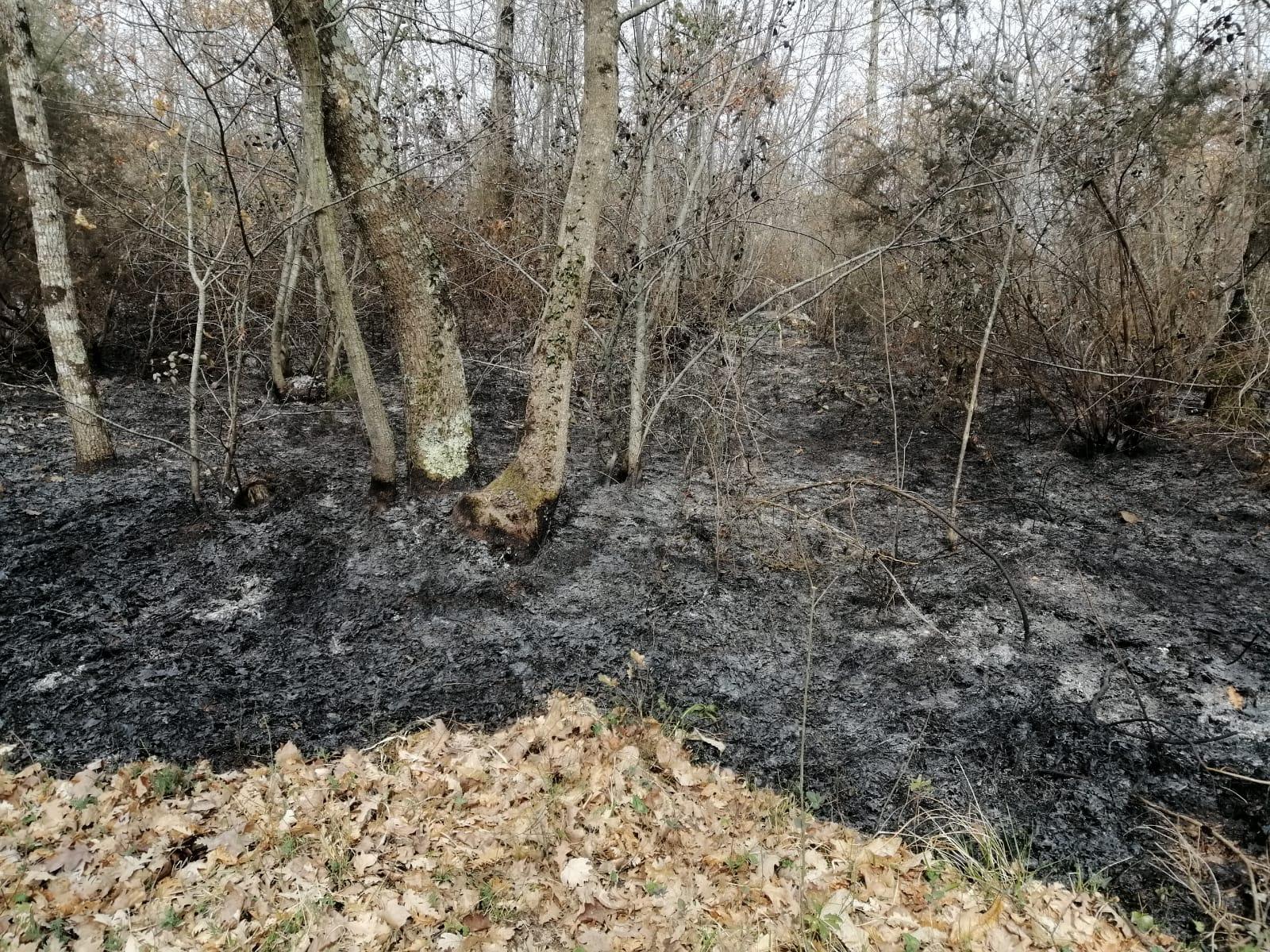 Montieri: domato l'incendio nei pressi della centrale geotermica - Foto