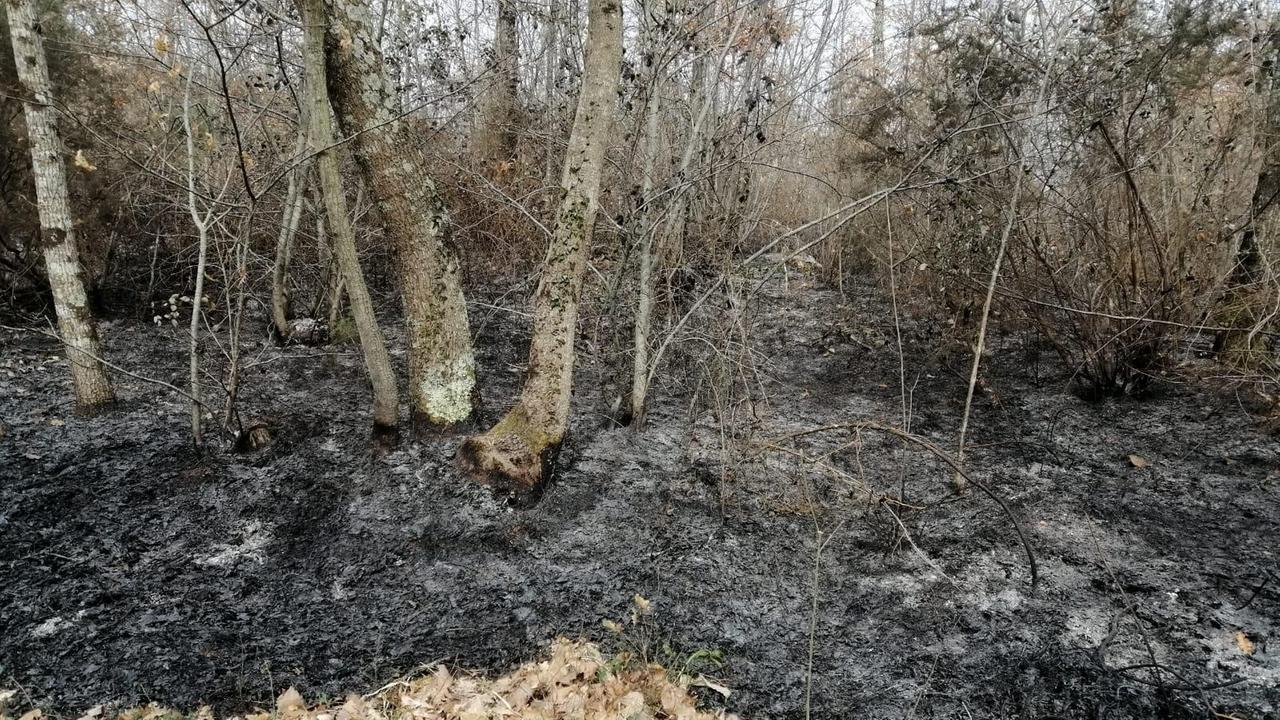 Montieri: domato l'incendio nei pressi della centrale geotermica - Foto
