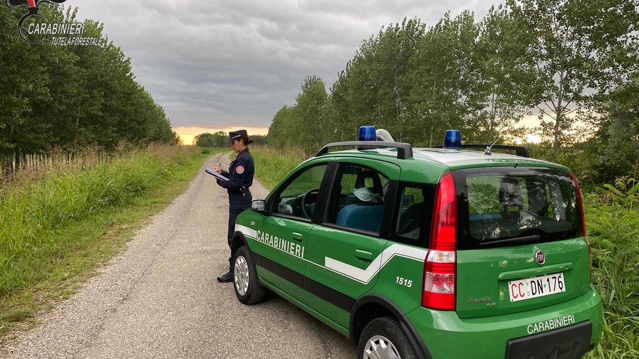 I carabinieri forestali sono intervenuti nella zona in cui erano stati trovati alcuni bocconi avvelenati