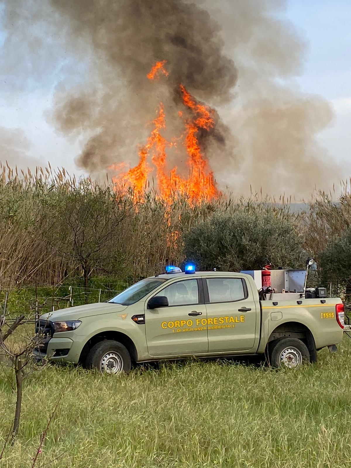 Vasto incendio nei canneti fra Sorso e Sennori, in pericolo vigneti e uliveti