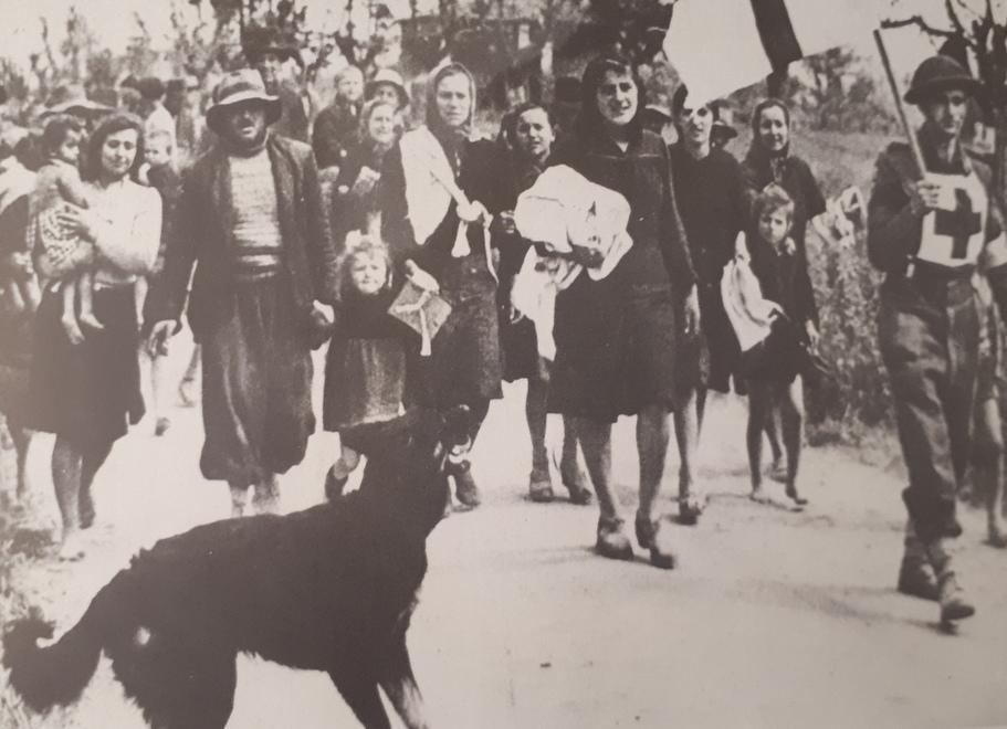 Dal libro al video. L’ultima guerra rivista nei filmati di Argenta distrutta 