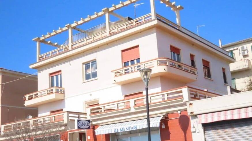 Una storica colonia di rondoni è stata scoperta in un palazzo di Salivoli