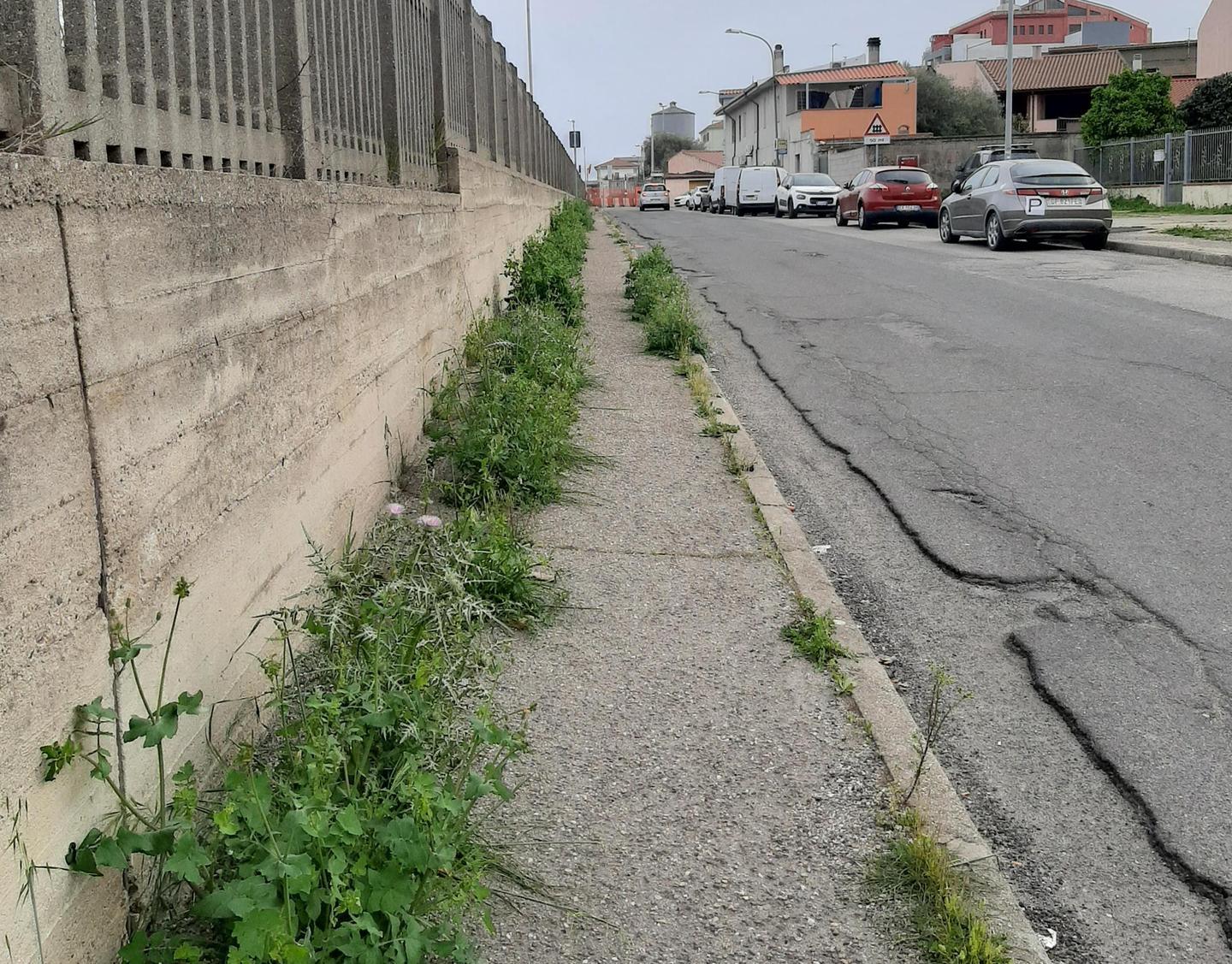 Oristano, verde pubblico tra incuria e denunce 