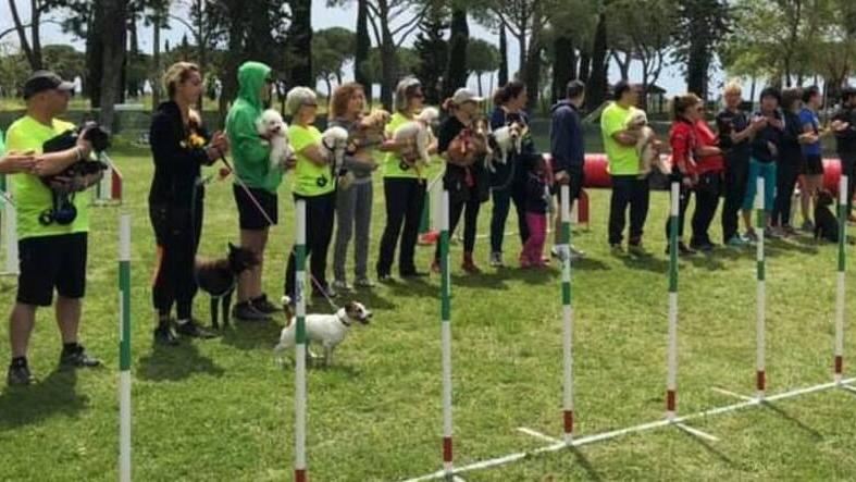 Grosseto: mille cani dal mondo a Principina Terra, sfida “all’osso” con la 2ª Maremma Cup