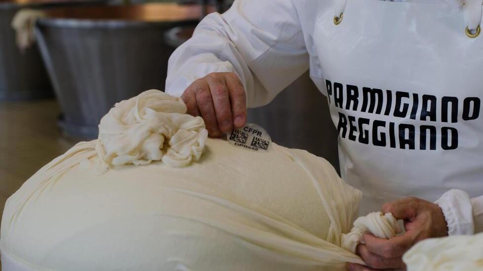 Lanciata una nuova etichetta digitale per la tutela del Parmigiano Reggiano