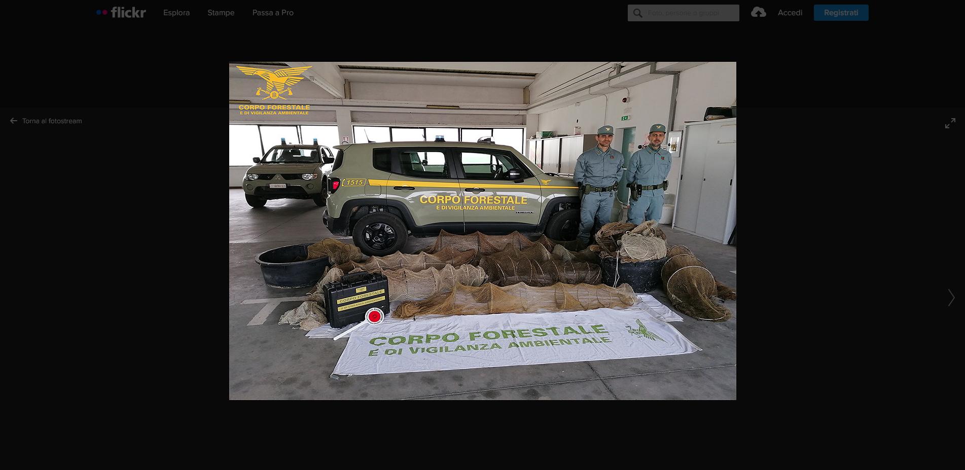 Trappole per le anguille sequestrate tra Cabras e Nurachi