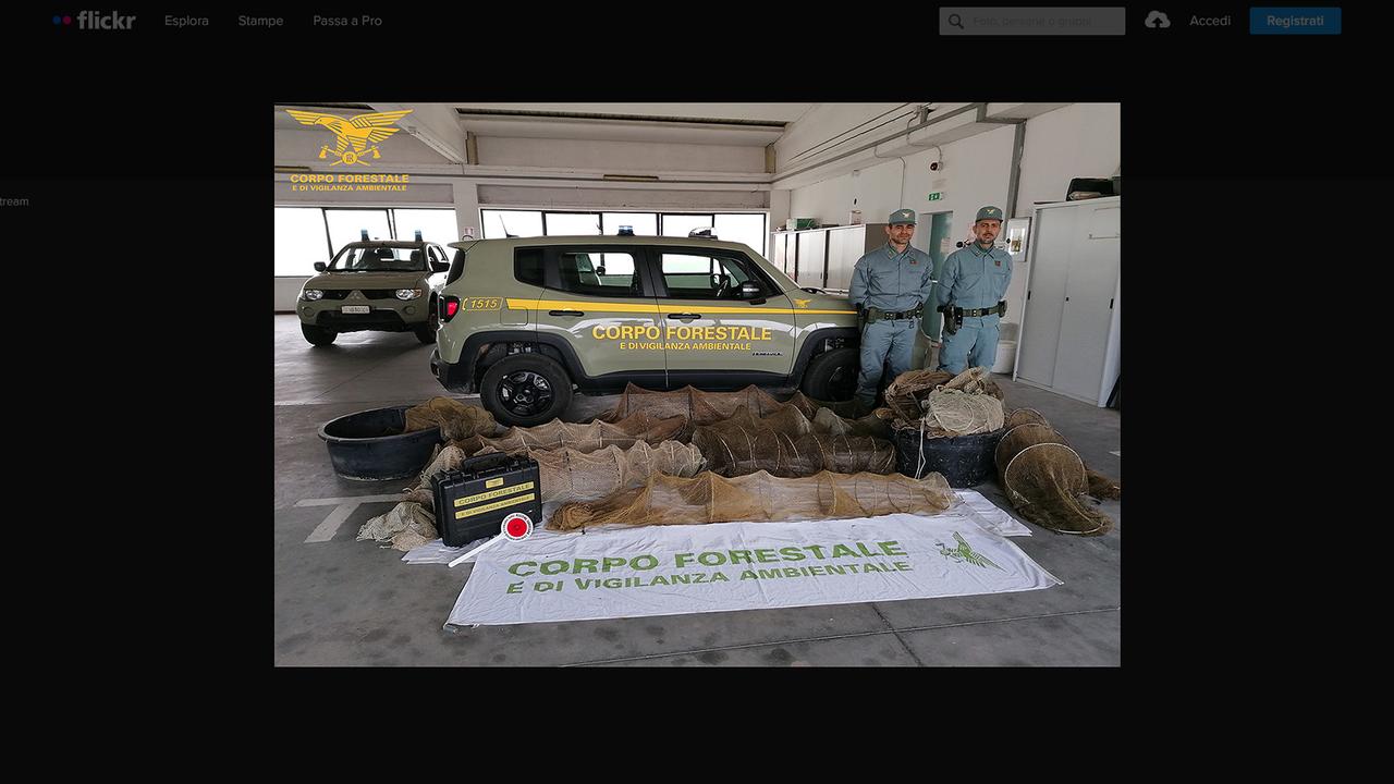 Trappole per le anguille sequestrate tra Cabras e Nurachi