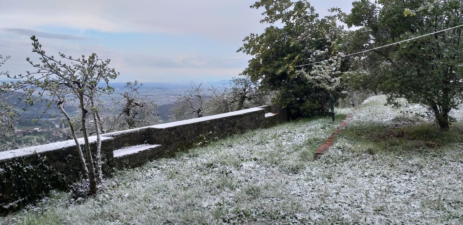 Nevicata fuori stagione sulla collina pistoiese